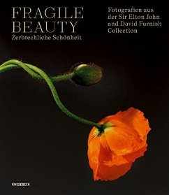 Fragile Beauty - zerbrechliche Schönheit von Knesebeck