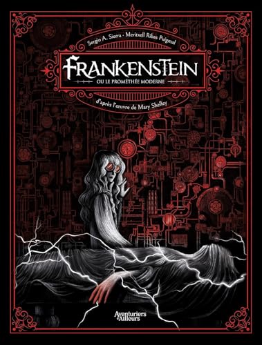 Frankenstein ou le Prométhée moderne von AVENTURIERS AIL