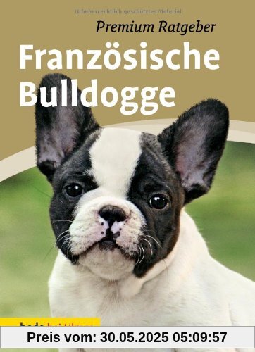 Französische Bulldogge: Premium Ratgeber Französische Bulldogge: Premium Ratgeber