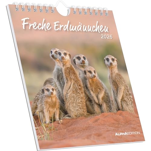 Freche Erdmännchen 2026 - Postkartenkalender 16x17 cm von ALPHA EDITION