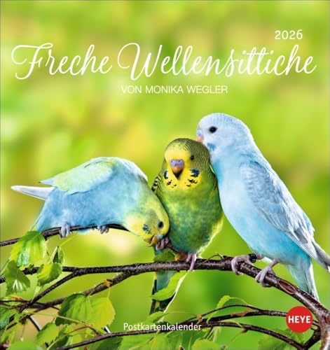 Freche Wellensittiche Postkartenkalender 2026: von Monika Wegler. Die bunten Vögel in einem kleinen Kalender zum Aufstellen und Aufhängen. ... (Postkartenkalender Heye) von Heye