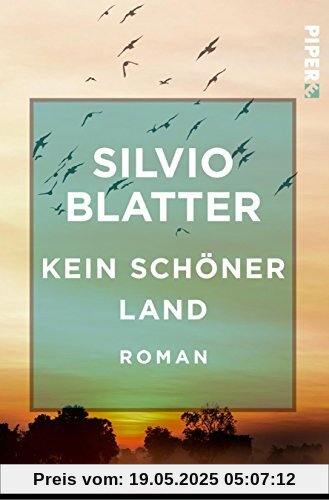 Freiamt-Trilogie: Kein schöner Land: Roman