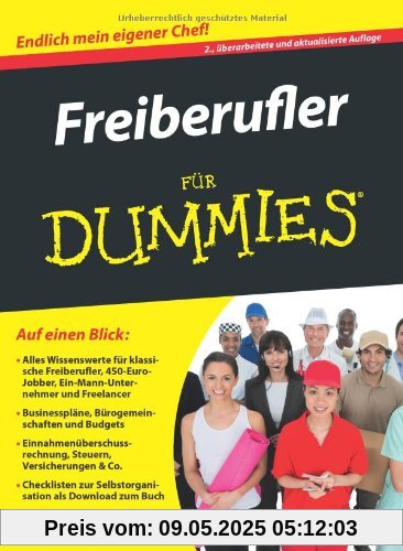Freiberufler für Dummies (Fur Dummies)