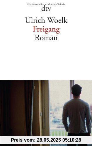 Freigang: Roman