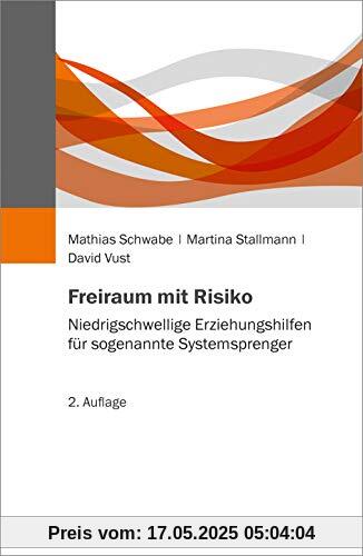 Freiraum mit Risiko: Niedrigschwellige Erziehungshilfen für sogenannte Systemsprenger Freiraum mit Risiko: Niedrigschwellige Erziehungshilfen für sogenannte Systemsprenger