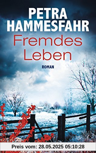 Fremdes Leben: Roman