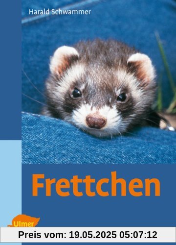 Frettchen Frettchen