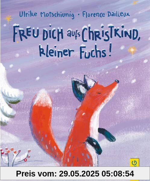 Freu dich aufs Christkind, kleiner Fuchs!: Bilderbuch