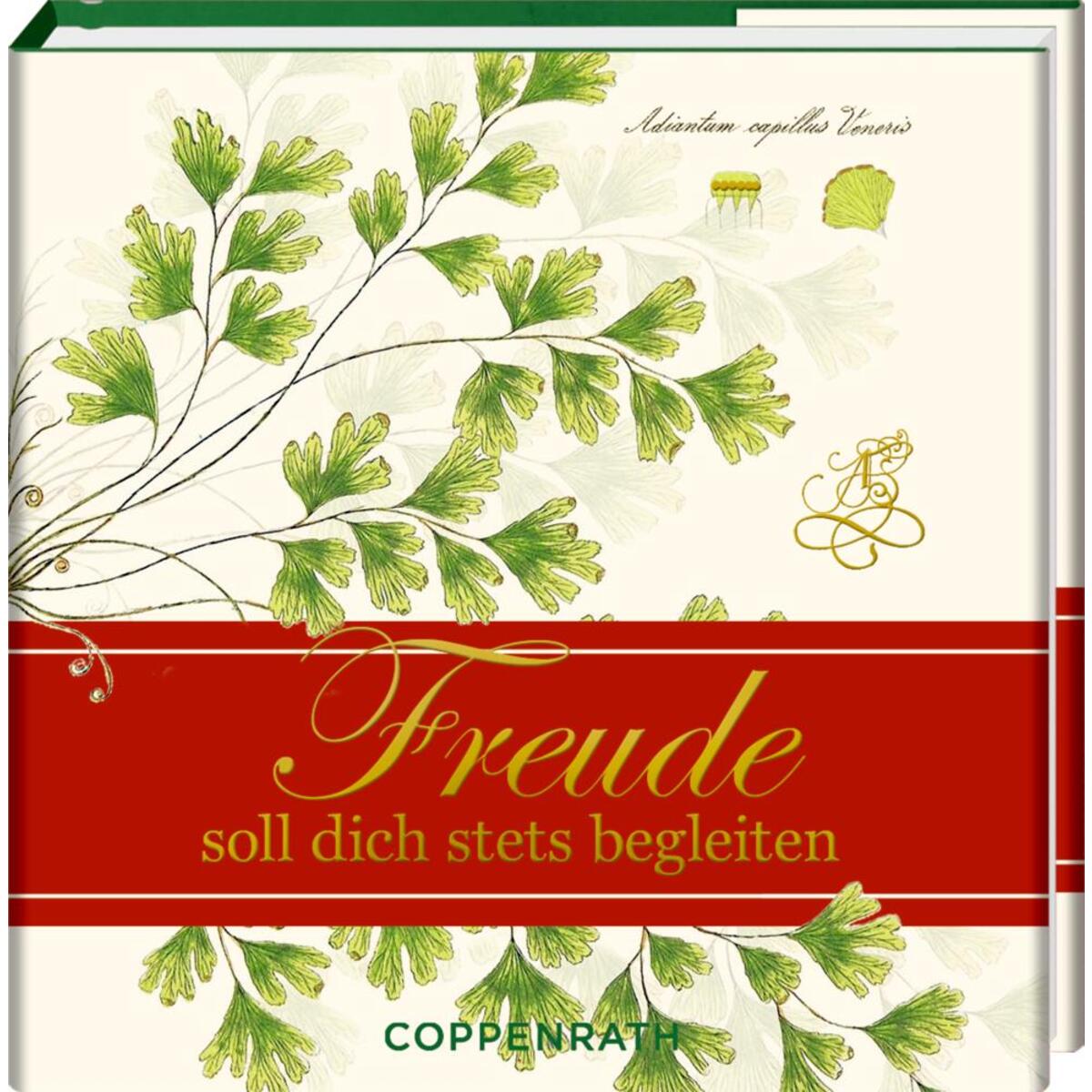 Freude soll dich stets begleiten von Coppenrath F