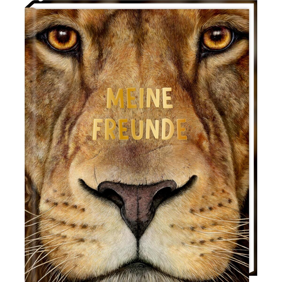 Freundebuch - Meine Freunde Freundebuch - Meine Freunde von Coppenrath
