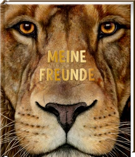 Freundebuch – Meine Freunde: Lebensgroß - Wilde Tiere Afrikas: Das Safari-Freundebuch für Mädchen und Jungen Freundebuch – Meine Freunde: Lebensgroß - Wilde Tiere Afrikas: Das Safari-Freundebuch für Mädchen und Jungen von Coppenrath