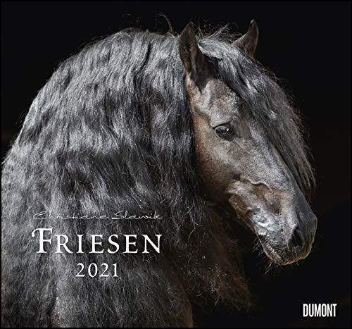 Friesen 2021 – Edle Pferde – Fotografiert von Christiane Slawik – DUMONT-Wandkalender – Format 38,0 x 35,5 cm von Dumont Kalenderverlag