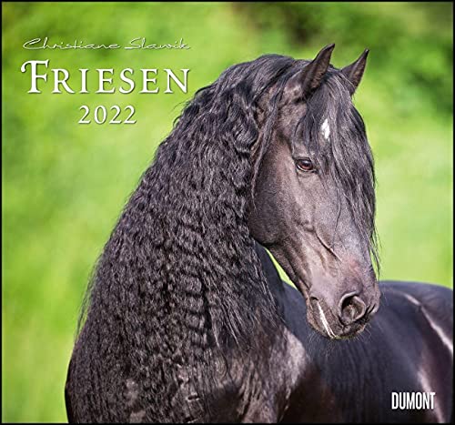 Friesen 2022 – Edle Pferde – Fotografiert von Christiane Slawik – DUMONT-Wandkalender – Format 38,0 x 35,5 cm