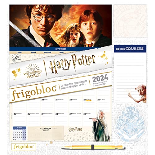 Frigobloc Mensuel 2024 Harry Potter (de sept. 2023 à déc. 2024): De septembre 2023 à décembre 2024 von PLAY BAC
