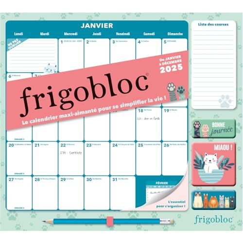 Frigobloc Mensuel 2025 Déco Chats (de janv. à déc. 2025): De janvier à décembre 2025 - Avec 1 crayon de papier et 3 aimants von PLAY BAC