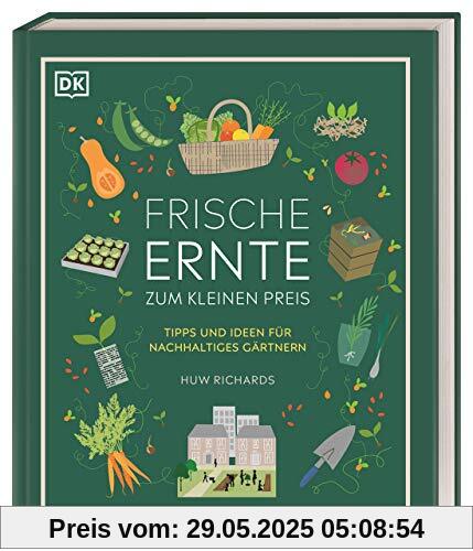 Frische Ernte zum kleinen Preis: Tipps und Ideen für nachhaltiges Gärtnern