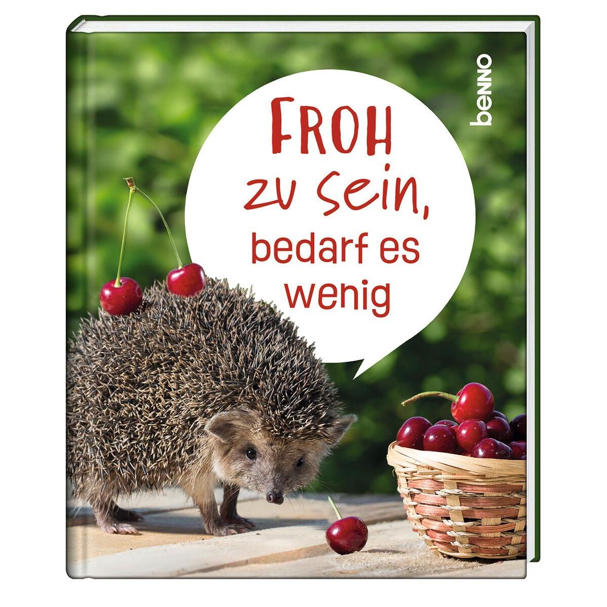 Froh zu sein, bedarf es wenig von St. Benno Verlag