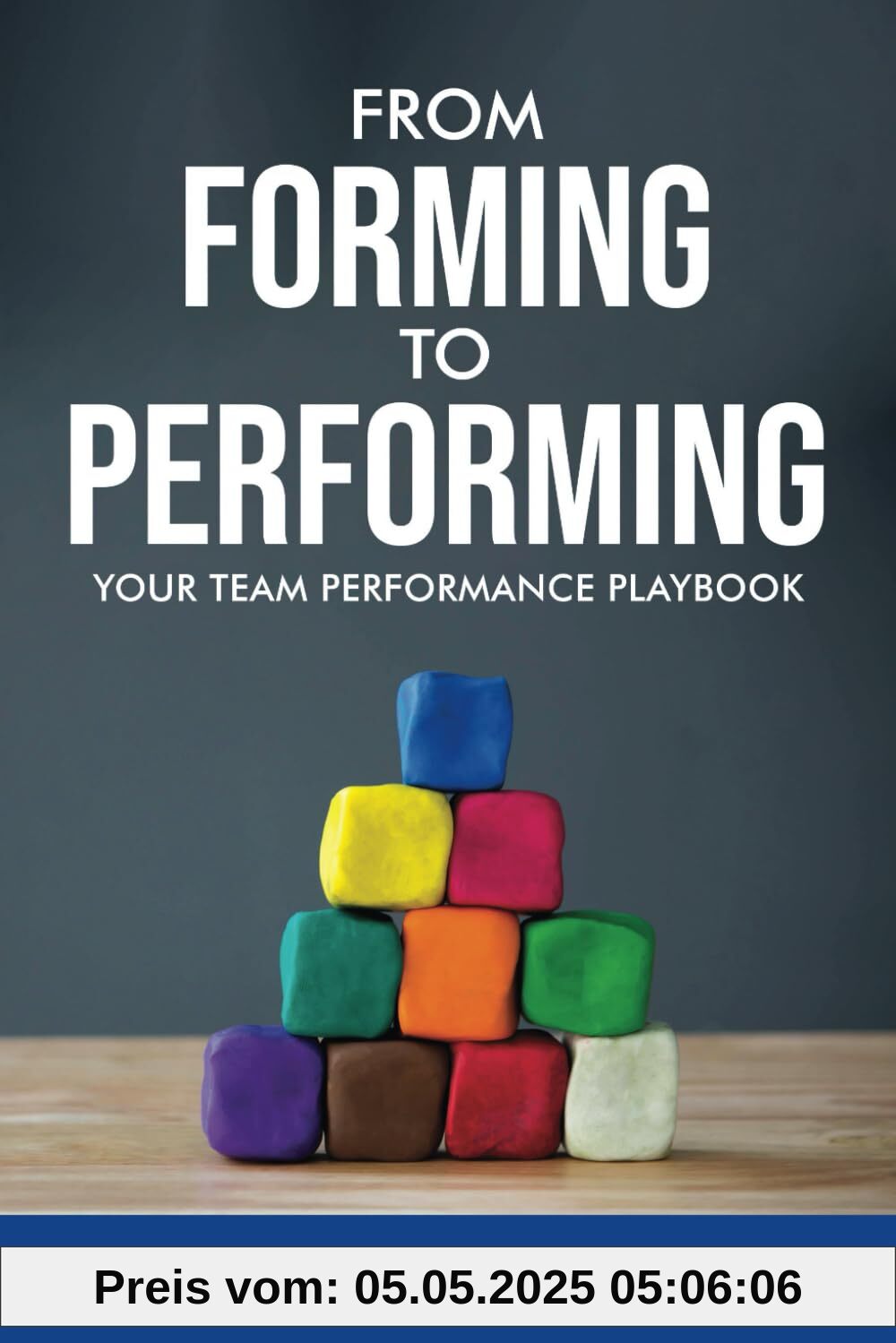 From Forming to Performing: Your Team Performance Playbook (From Forming to Performing Series, Band 1)