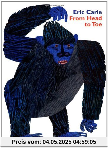 From Head to Toe Board Book