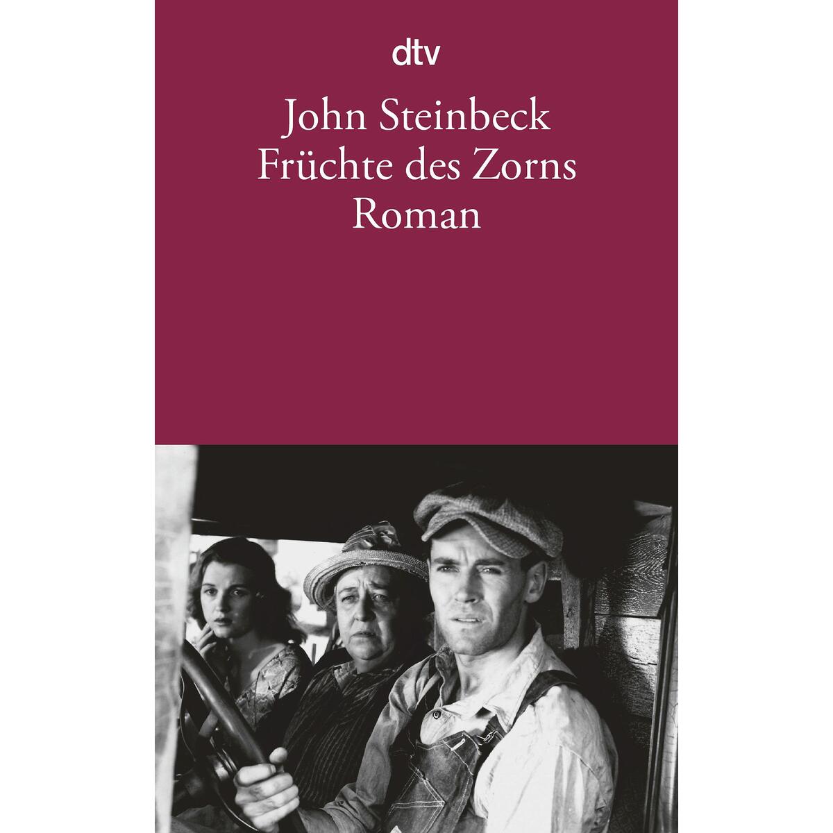 Früchte des Zorns von dtv Verlagsgesellschaft