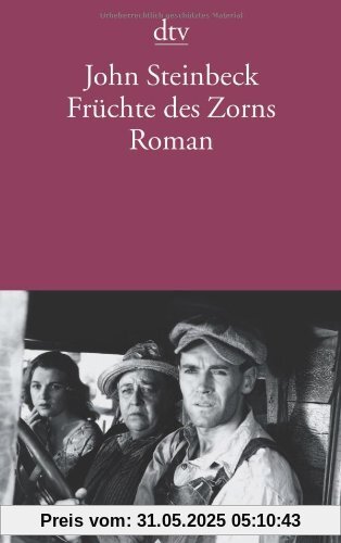 Früchte des Zorns: Roman