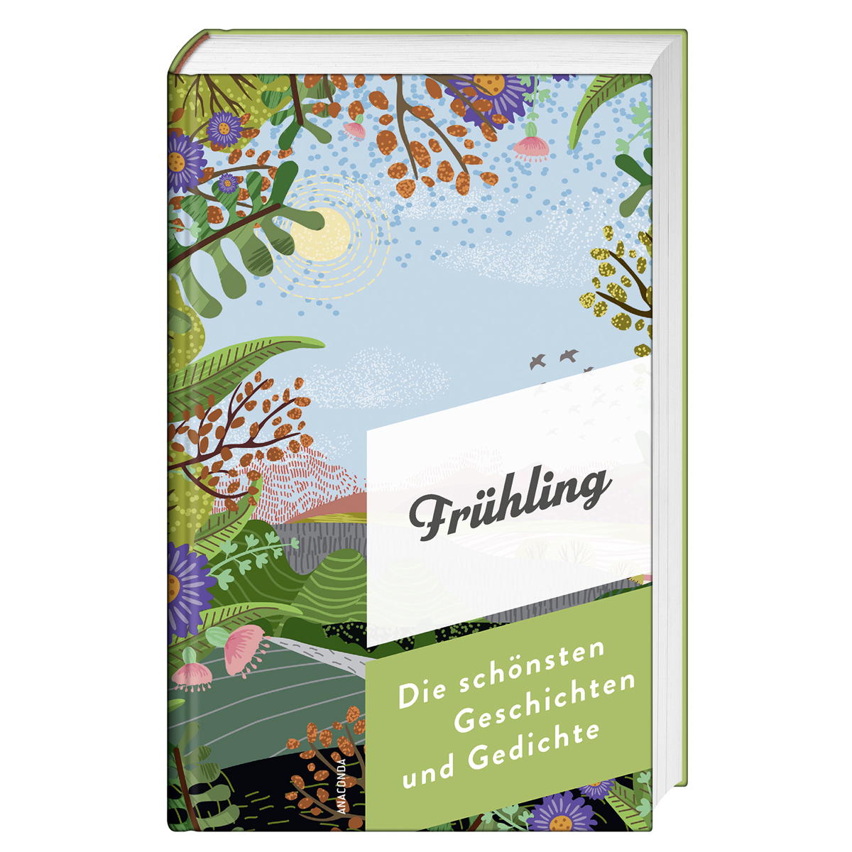 Frühling von Anaconda Verlag