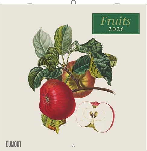 Fruits 2026 ‒ Broschürenkalender ‒ mit historischen Abbildungen alter Obstsorten von Pierre Antoine Poiteau ‒ Format 30 x 30 cm Fruits 2026 ‒ Broschürenkalender ‒ mit historischen Abbildungen alter Obstsorten von Pierre Antoine Poiteau ‒ Format 30 x 30 cm von DUMONT