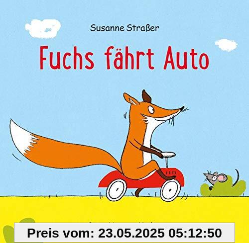 Fuchs fährt Auto