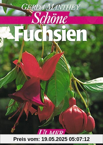 Fuchsien auf Balkon und Terrasse (Garten-Ratgeber)