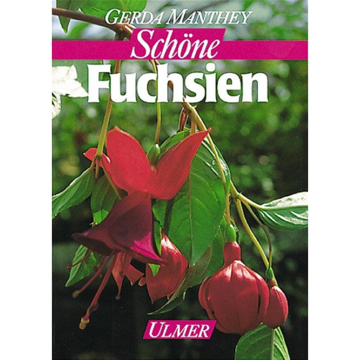 Fuchsien für Balkon und Terrasse von Ulmer Eugen Verlag
