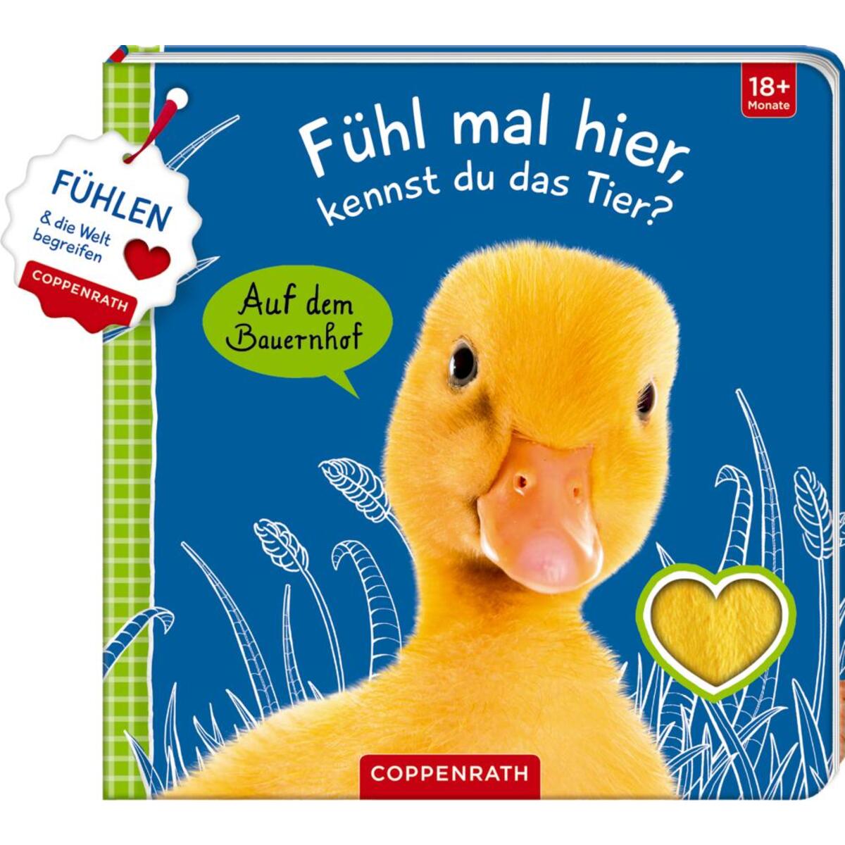 Fühl mal hier, kennst du das Tier? Auf dem Bauernhof von Coppenrath F