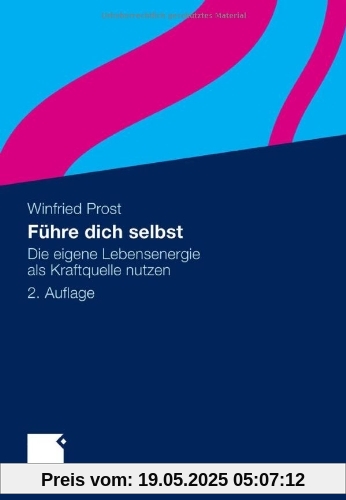 Führe dich selbst: Die eigene Lebensenergie als Kraftquelle nutzen