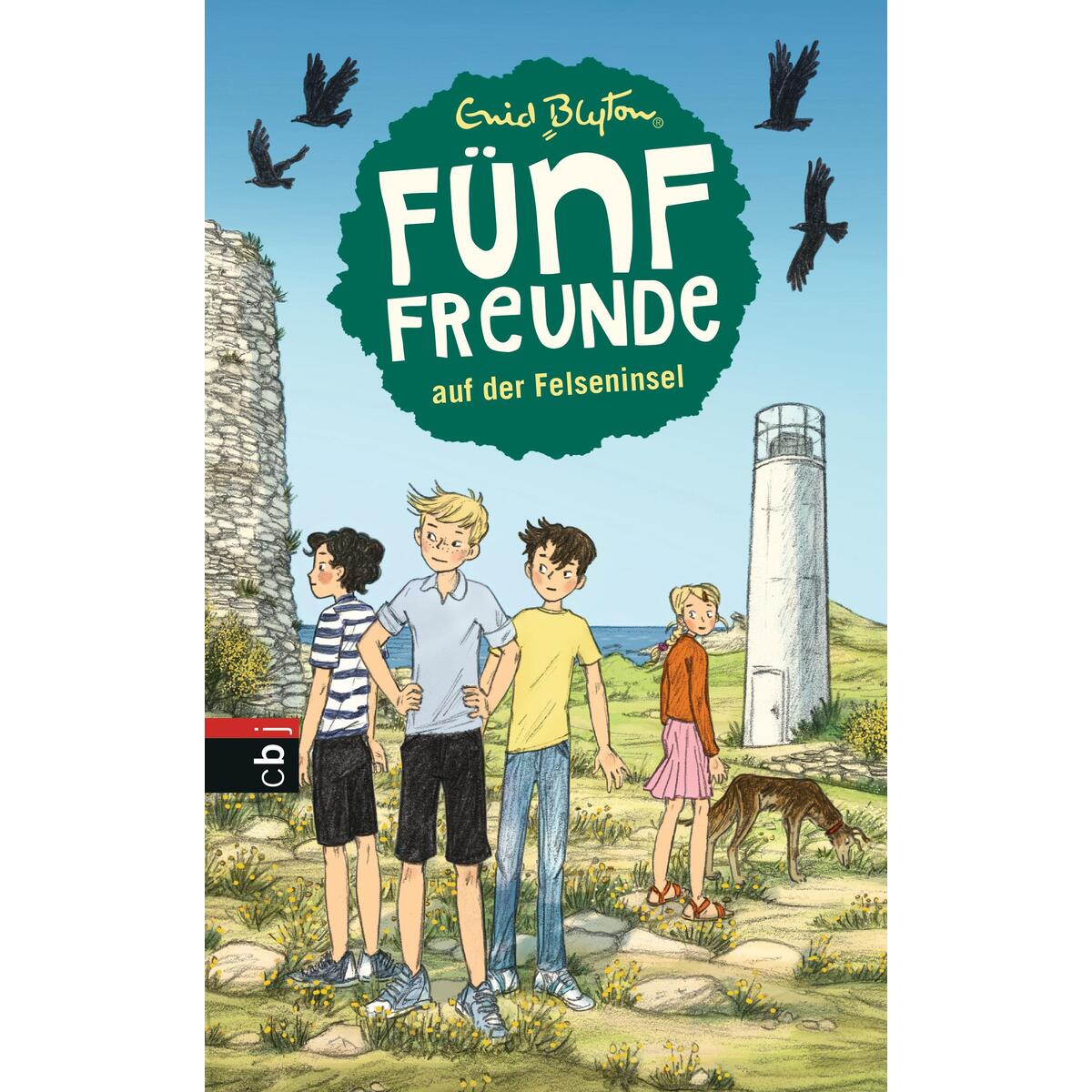 Fünf Freunde 06. Fünf Freunde auf der Felseninsel von cbj