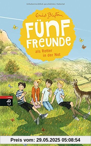 Fünf Freunde als Retter in der Not (Einzelbände, Band 11)