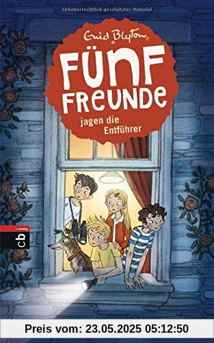 Fünf Freunde jagen die Entführer (Einzelbände, Band 13)