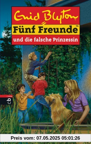 Fünf Freunde und die falsche Prinzessin: Band 58