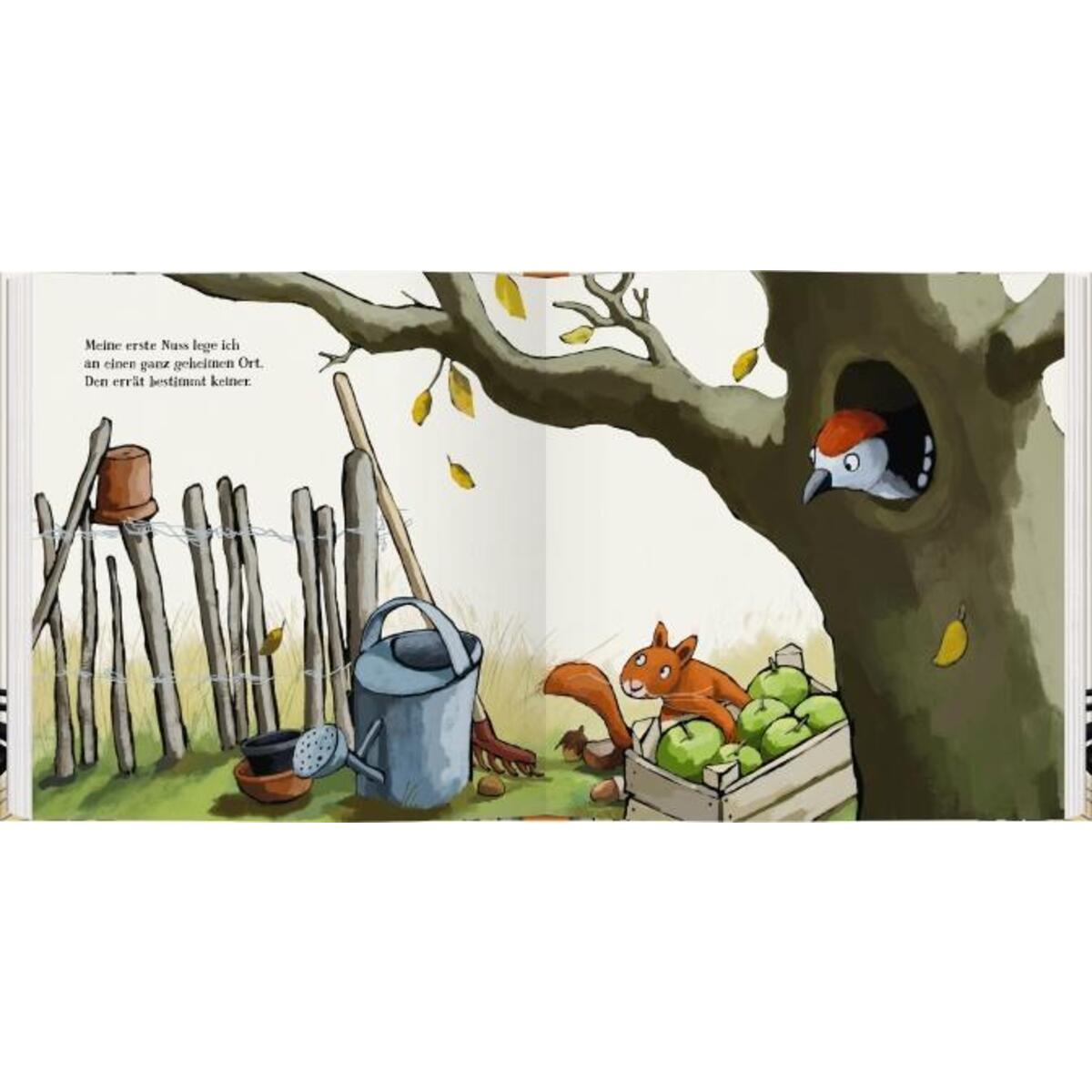 Fünf Nüsse für Eichhörnchen von Gerstenberg Verlag