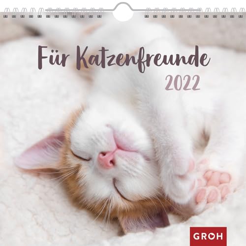 Für Katzenfreunde 2022: Wandkalender mit Monatskalendarium von Groh