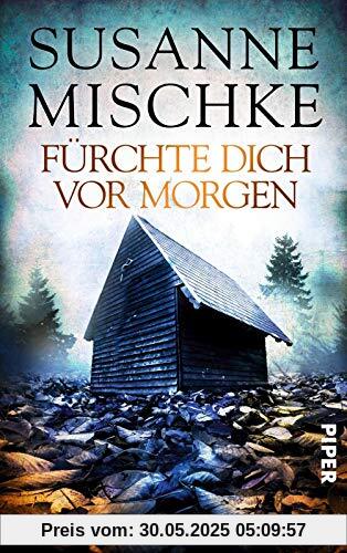 Fürchte dich vor morgen (Hannover-Krimis 10): Kriminalroman