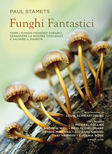 Funghi fantastici von Piano B