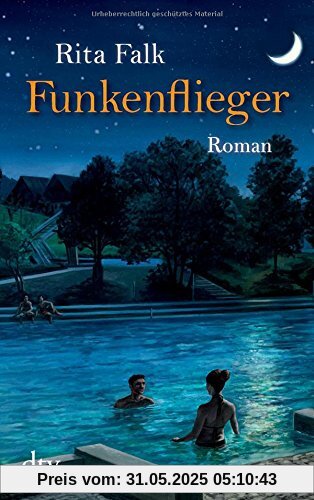 Funkenflieger: Roman (dtv Unterhaltung)