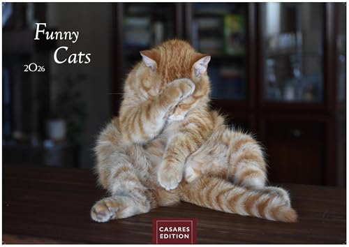 Funny Cats 2026 L 35x50cm von CASARES EDITION