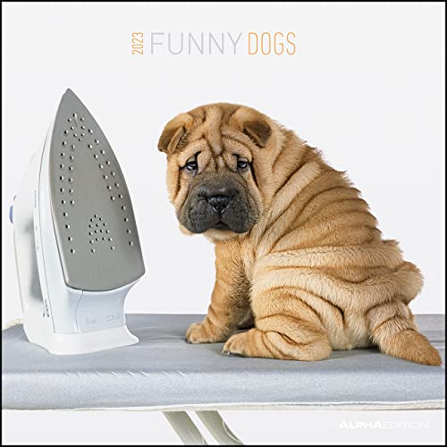Funny Dogs 2023 - Broschürenkalender 30x30 cm (30x60 geöffnet) - Kalender mit Platz für Notizen - Hunde - Bildkalender - Wandkalender - Hundekalender