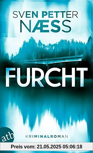 Furcht: Kriminalroman (Team Oslo ermittelt, Band 2)