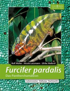 Furcifer pardalis. Das Panterchamäleon von Natur und Tier-Verlag