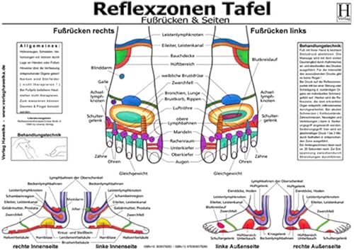 Fussreflexzonen Tafel - Fussrücken & Seiten - A3 (laminiert)