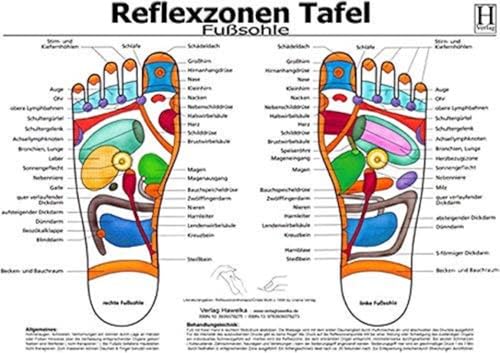 Fussreflexzonen Tafel - Fusssohle - A3 (laminiert) von Hawelka, Verlag