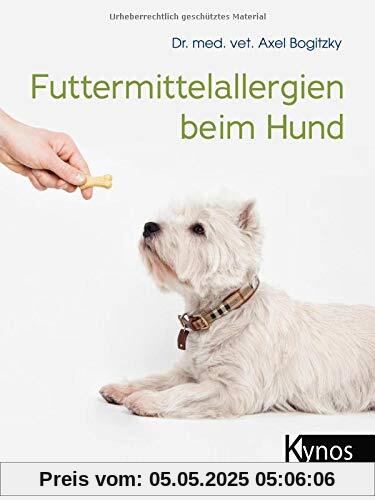 Futtermittelallergien beim Hund