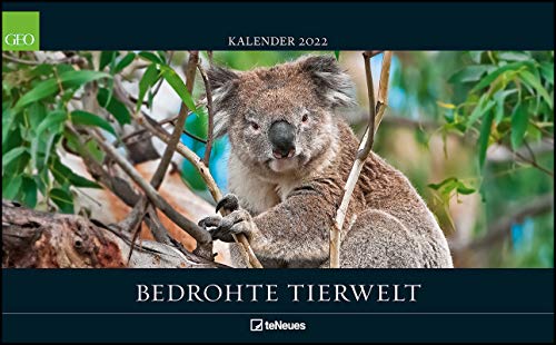 GEO Bedrohte Tierwelt 2022 - Wand-Kalender - Tier-Kalender - Poster-Kalender - 58x36 von teNeues Calendar & Statio
