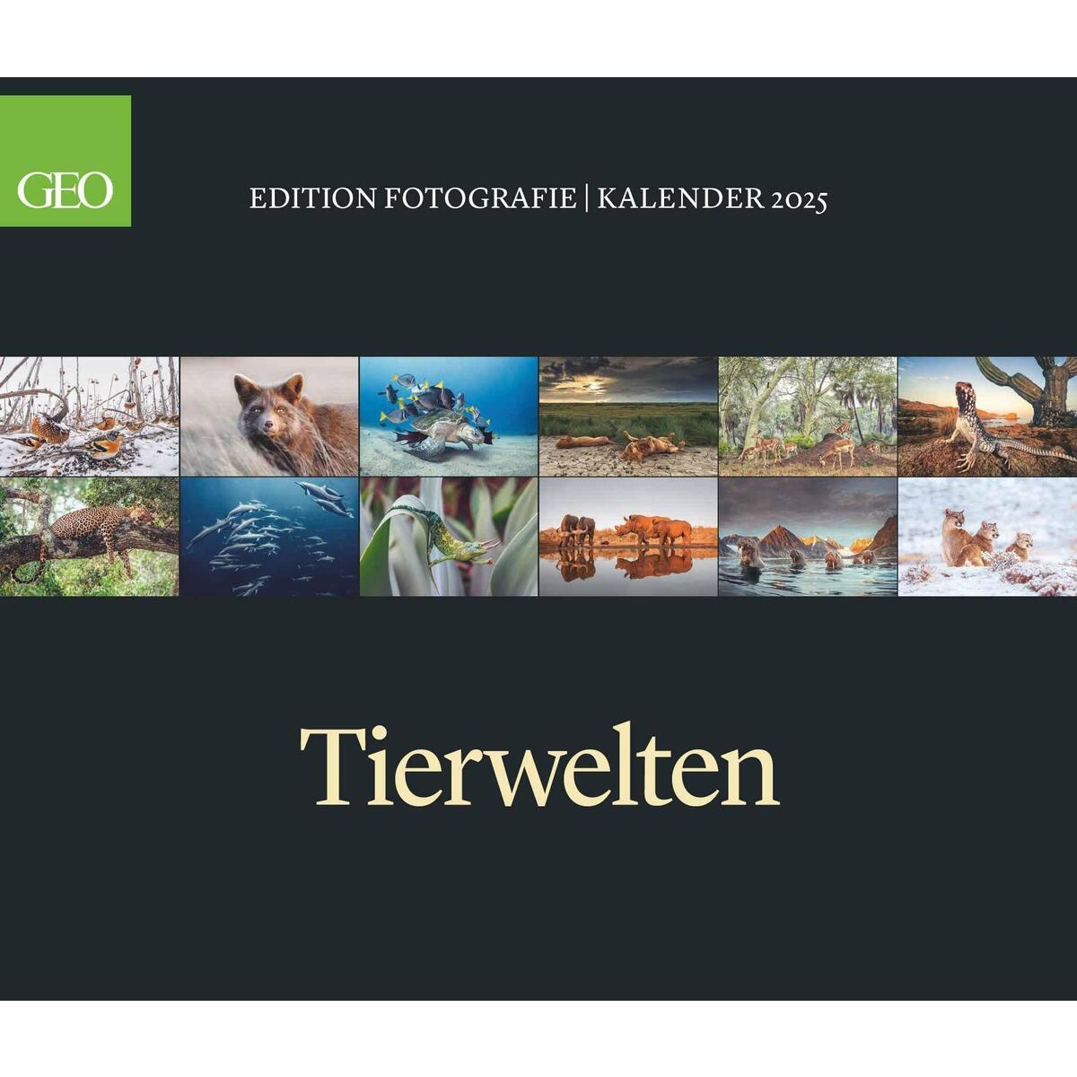 GEO Edition: Tierwelten 2025 - Wand-Kalender - Tier-Kalender - 70x60 GEO Edition: Tierwelten 2025 - Wand-Kalender - Tier-Kalender - 70x60 von Neumann Verlage GmbH & Co